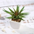 thumbnail image 4 of BalsaCircle 3 Green Assorted 5" Artificial Faux Cute Realistic Succulent Plants White Pots, 4 of 6