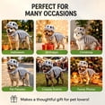 thumbnail image 5 of 2026 Dino Skeleton Plush, Dinosaur Skeleton Plush Costume for Dogs and Cats, 5 of 6