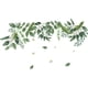 thumbnail image 1 of Hanging Green Vine Wall Decals,Eucalyptus Leaves Plants Wall Stickers for Kid Bedroom, Creative Removable Peel and Stick Wall, 1 of 5