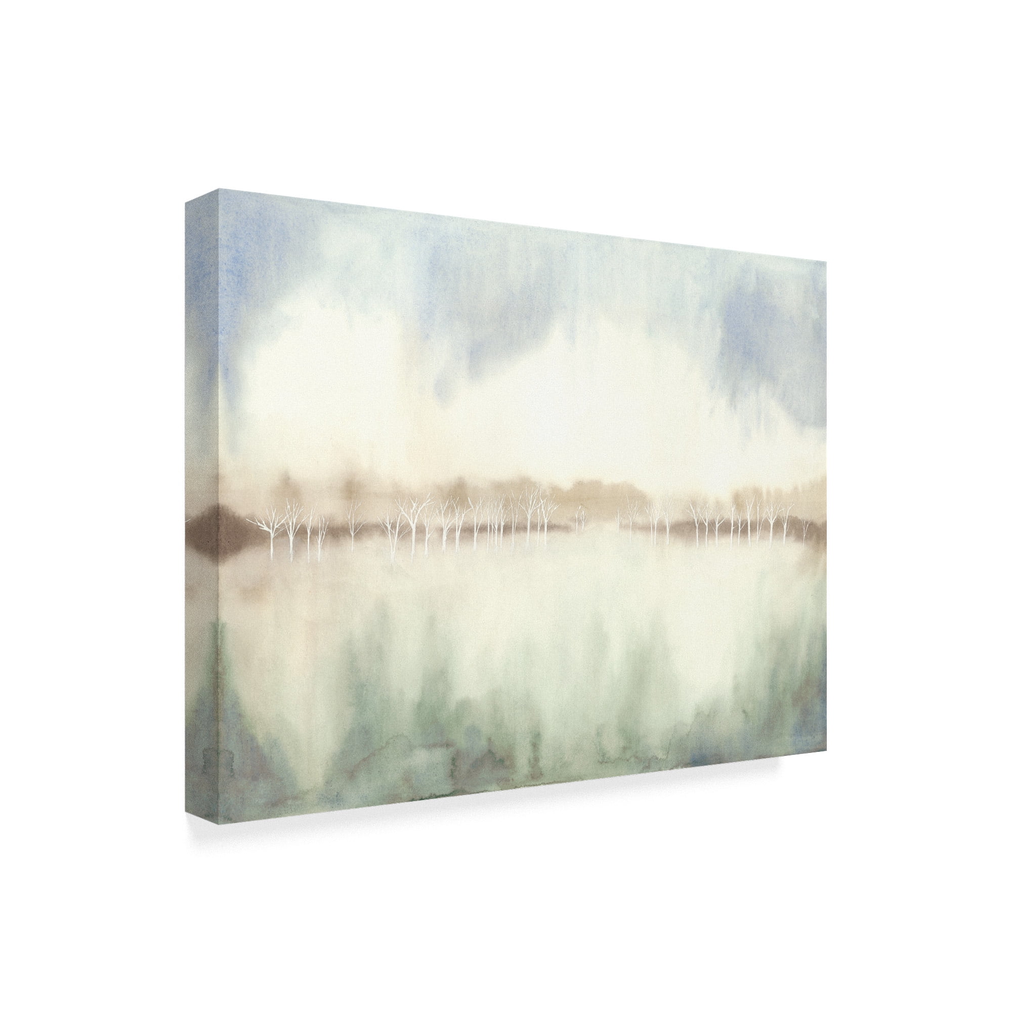 Trademark Fine Art 'Mid Morning Mist I' Canvas Art by Grace Popp
