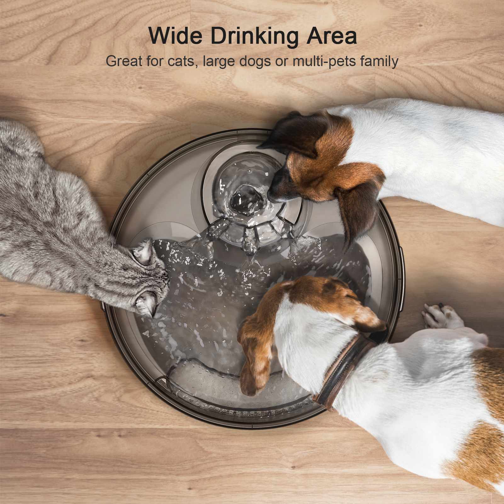 NPET Automatic Dog Water Fountain 5L photo 5