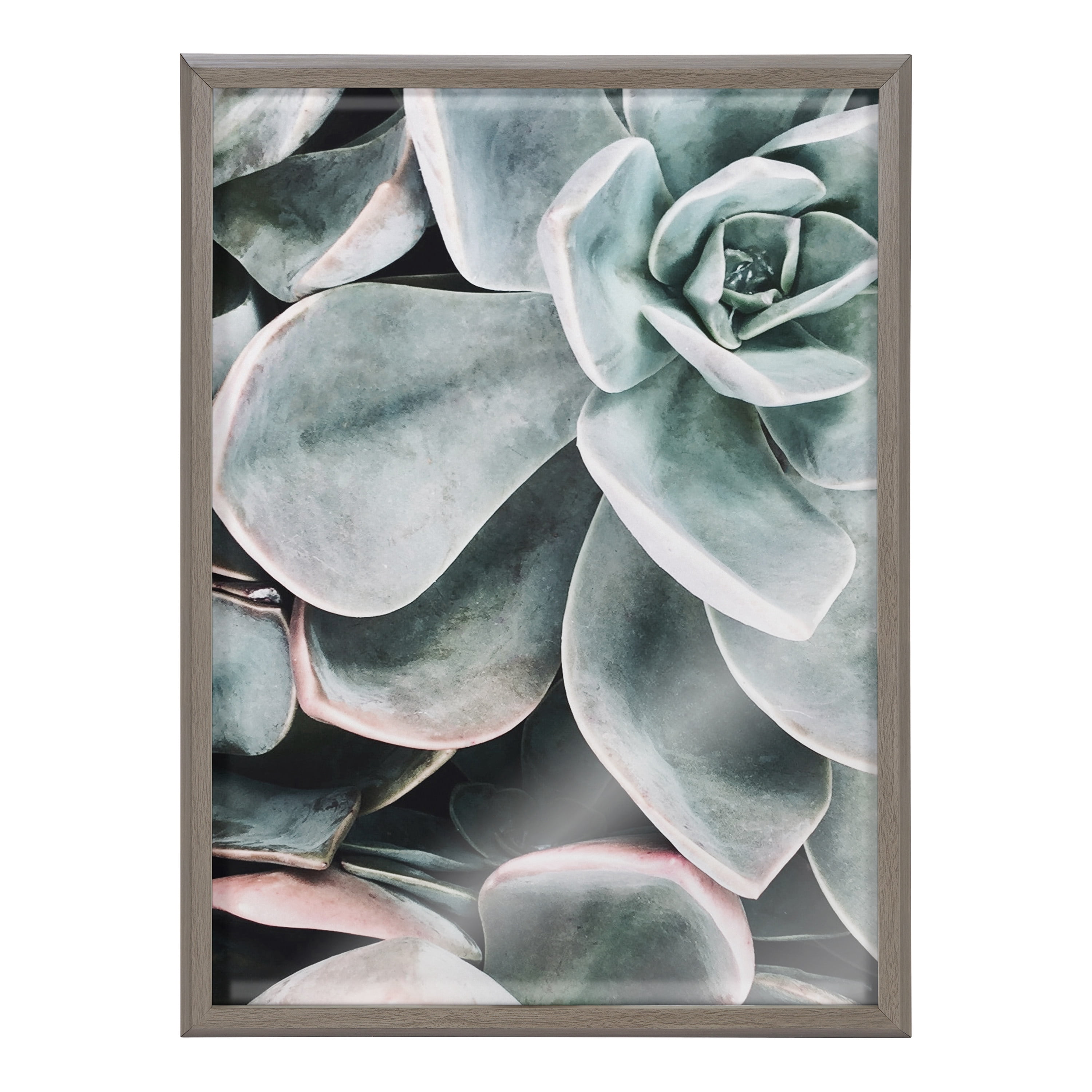Kate and Laurel Blake Botanical Succulent Plant Framed Printed Glass Wall Art by The Creative Bunch Studio, 18x24 Gray, Succulent Art for Wall
