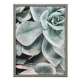 thumbnail image 2 of Kate and Laurel Blake Botanical Succulent Plant Framed Printed Glass Wall Art by The Creative Bunch Studio, 18x24 Gray, Succulent Art for Wall, 2 of 8