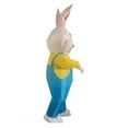 thumbnail image 3 of Disfraz Inflable de Conejo de Pascua, Traje de Fiesta, Disfraz, Mono, Cosplay para Adultos, 3 of 7