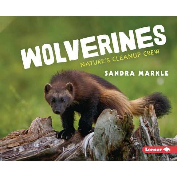 Animal Scavengers in Action Wolverines: Nature's Cleanup Crew, (Hardcover)