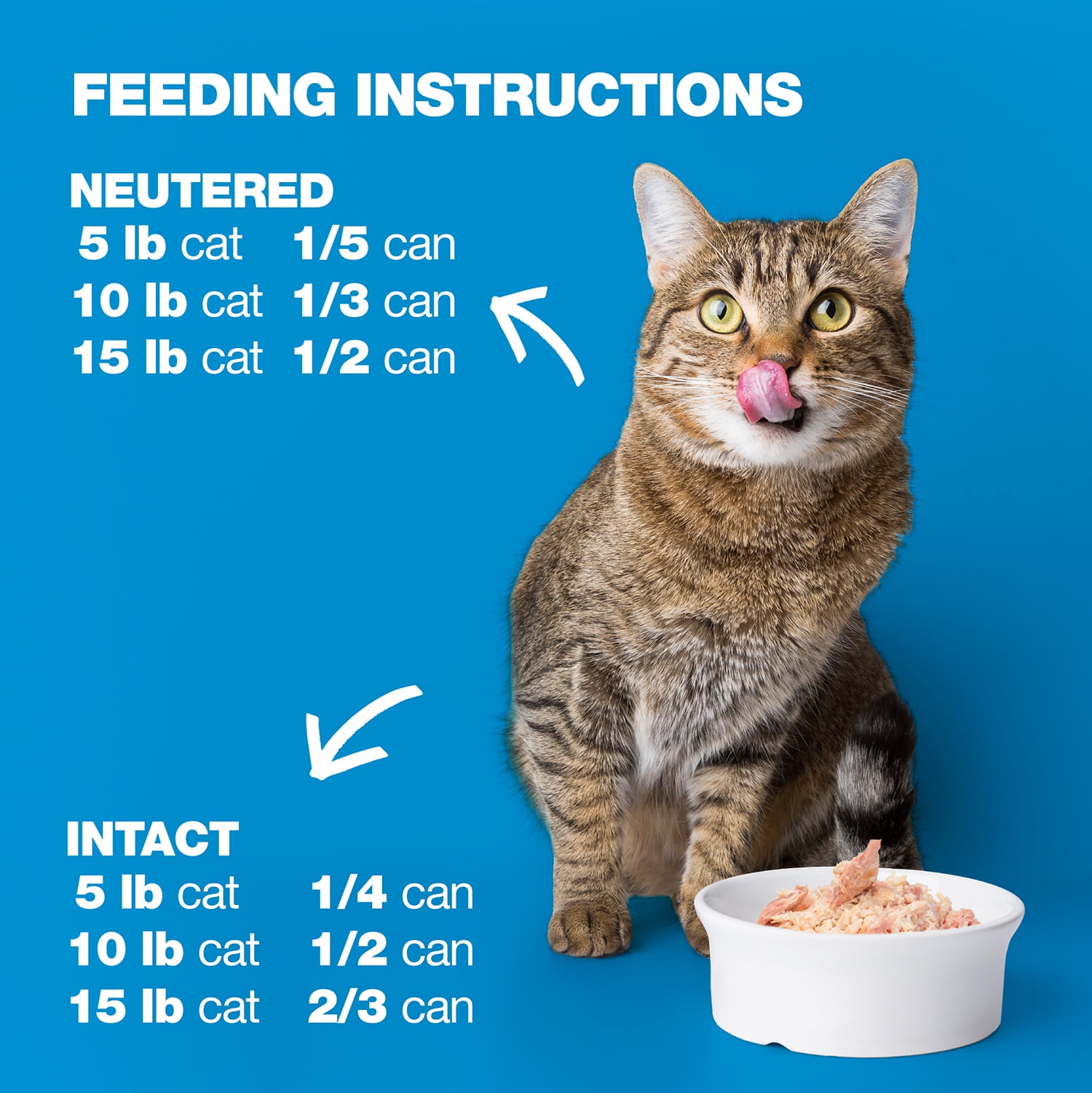 Natural Code - Wet Cat Food, Limited Ingredient Cat Food, High-Protein, Non-GMO, No Artificial Additives, Made In Italy, Tuna & Turkey in Aspic for Adult Cats (3 oz, 24 Pack)