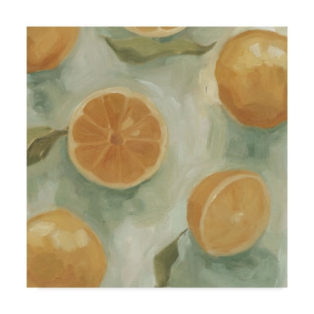 - Trademark Fine Art 'Citrus Study in Oil II' Canvas Art by Emma Scarvey