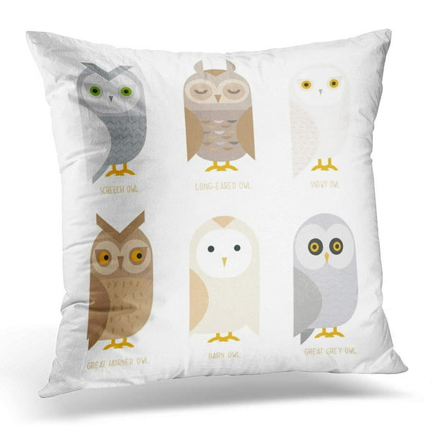 BOSDECO White Flat Cute Owl Characters Showing Different Species Barn