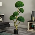 thumbnail image 5 of Nearly Natural 5ft. Five Head Boxwood Artificial Tree, UV Resistant (Indoor/Outdoor), 5 of 5