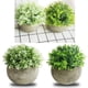 thumbnail image 5 of Bonsái de planta simulada, 2 piezas de planta simulada en maceta, decoración de escritorio, bonsái simulado magistralmente creado, 5 of 9