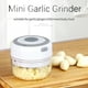 thumbnail image 3 of Mini molinillo de ajo, picador de ajo eléctrico, alimentos inalámbricos, frutas y verduras Leyfeng Molinillo de ajo, 3 of 7