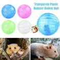 thumbnail image 4 of Clearance! 1Pcs Plastic Hamster Rodent Ball Running Fitness Exercise Toy Large UK STOCK P5L3, 4 of 9