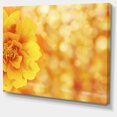 thumbnail image 2 of Beautiful Floral Yellow Background - Large Floral Canvas Artwork, 2 of 4
