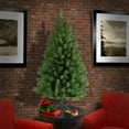 thumbnail image 4 of National Tree Company Artificial Full Christmas Tree, Green, North Valley Spruce, Includes Stand, 4 Feet, 4 of 5
