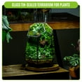 thumbnail image 5 of NCYP Closed Geometric Terrarium with Front Door, for Planting, Succulents, Terrarium Only, 5 of 9