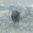 thumbnail image 3 of Phillip, Jamie 20x20 Black Modern Framed Museum Art Print Titled - Bison, 3 of 5