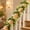 B, variant on Artificial Eucalyptus Wreath 69 Inch Long Cascading Vines for Wedding Arch Backdrop Fireplace Mantel Decor - Plastic Rattan Greenery Garland for Home Shelf Table Party Outdoor Garden Decoration