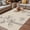 Beige, variant on Retro Beige Flowers Outdoor Rug for Patio/Deck/Porch, Non-Slip Large Area Rug 4 x 6 Ft, Rustic Abstract Floral Simple Art Indoor Outdoor Rugs Washable Area Rugs, Reversible Camping Rug Carpet Runner