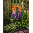 thumbnail image 2 of Carolines Treasures CK3197GF Hallween Black Labrador Retriever Garden Size Flag, 2 of 3