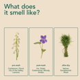 thumbnail image 5 of In Wash Scent Booster Beads - Wood Haven - 100% Plant Based - Natural Laundry Booster Beads & Smell Deodorizer - Environment Friendly Odor Eliminator for Clothes (320 grams), 5 of 5