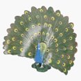 thumbnail image 1 of Jouets de Paon, Simulation de Paon Modèle Accessoires Éducatifs Réalistes pour les Amateurs d'Oiseaux, 1 of 8