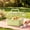 🌻 Green#111, variant on Hamster Cage Plastic with Carry Handle Panoramic Cover and Deep Base for Syrian Dwarf Hamsters Gerbils & Mice
