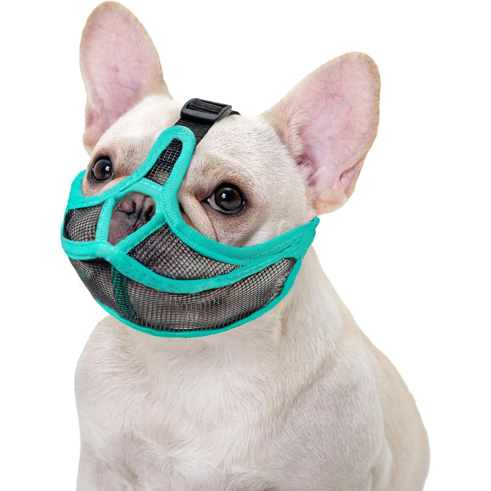 Short Nose Dog Muzzle Does Not Cover Forehead Bulldog Muzzle Adjustable Breathing Net Anti Bite Chew Bark M Green Walmart