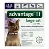 1PK Bayer Advantage II Liquid Cat Flea Drops Imidacloprid/Pyriproxyfen 0.108 oz.