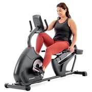 Schwinn Recumbent Bike Series