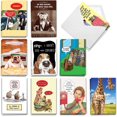 thumbnail image 1 of NobleWorks Older Not Wiser - 20 Boxed Birthday Greeting Cards with Envelopes (4.63 x 6.75 Inch) - AC8840BDG-B2x10, 1 of 5