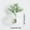 A, variant on Qholemyo Cute Magnetic Ceramic Vase Stickers Succulents Flower Pots Home Decor Indoor Planters For Refrigerator