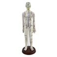 thumbnail image 2 of Esquirla 21.2inch Tall Model Accessory for Professionals Human Body Model Female, 2 of 8