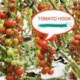 thumbnail image 5 of Tomato Plant Stand Growth Puller Nylon And Iron 10cm Easy To Use Gardening Supplies For Vegetables 10pcs 1500cm Hook, 5 of 10