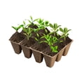 thumbnail image 4 of 4 bandejas de semillas de 12 agujeros, caja de siembra para cultivo de plantas, maceta de plástico transpirable para verduras, frutas, flores Noticed HA004287-00, 4 of 6