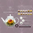 thumbnail image 3 of Teabloom Fruit Variety Blooming Tea Canister, 3 of 6