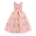 thumbnail image 2 of IDOPIP Embroidery Flower Girl Lace Tutu Dress for Kids Wedding Pageant Birthday Party First Communion Dresses Princess Bridesmaid Ball Maxi Gown 4-5 Years Pink Floral, 2 of 7