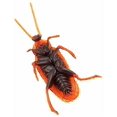 thumbnail image 2 of 12 piezas Vintage simulacro plástico falso cucaracha escorpión insectos broma juguetes broma truco aterrador insectos para fiesta, 2 of 3