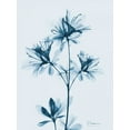 thumbnail image 2 of Koetsier, Albert 25x32 White Modern Wood Framed Museum Art Print Titled - Azalea in Blue 2, 2 of 4