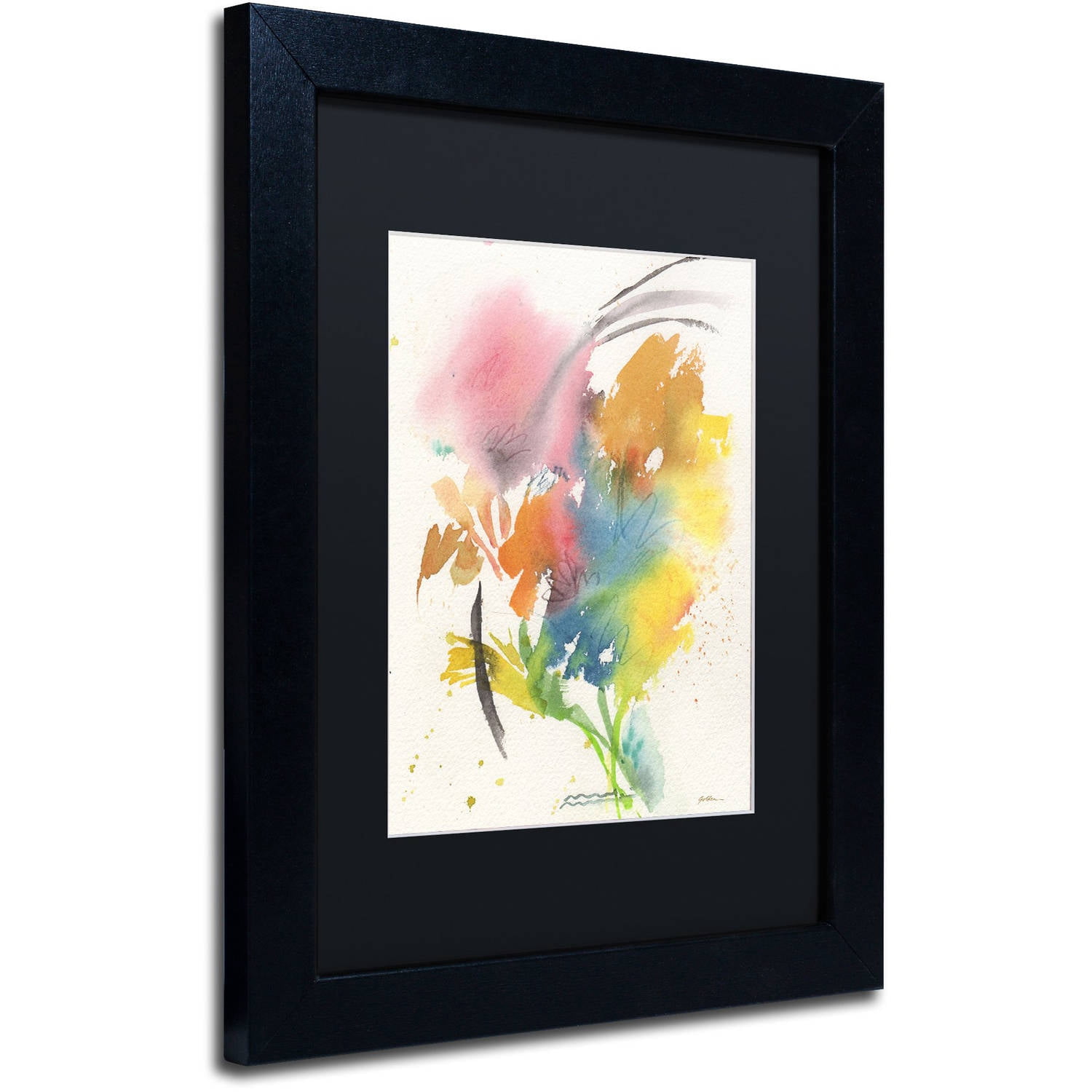 Trademark Fine Art "Rainbow Bouquet" Canvas Art by Sheila Golden, Black Matte, Black Frame