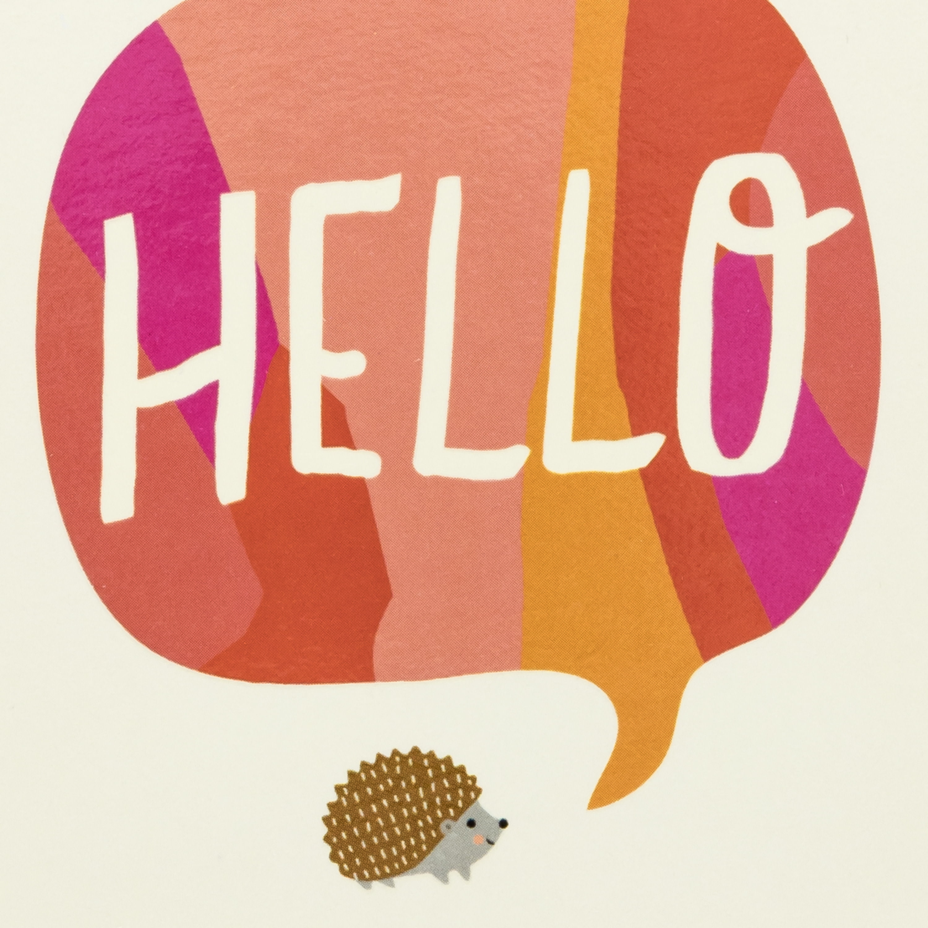 Hallmark Blank Thinking of You Notes (Hedgehog Hello), 10 Count