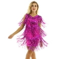 thumbnail image 4 of TiaoBug Robe Sans Manches à Col en V pour Femmes Robe à Sequins Brillants avec Franges Robe Samba Latin Tango Rose G, 4 of 7