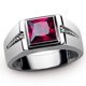 thumbnail image 1 of Anillos de circón multicolor con incrustaciones Anillos de moda para hombres y mujeres ER, 1 of 3