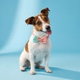thumbnail image 2 of Vibrant Life Adjustable Bow Tie Fashion Dog Collar, Multicolor, S, 2 of 12