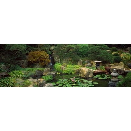 Lilies in a pond at Japanese Garden University of California Los Angeles California USA Poster
