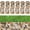 Rec-12"Lx4"W-Multi-color, variant on River Rock Stepping Stones Outdoor for Garden Walkway, 12 inch Diameter 6 Pcs Round Shape Paver Step Stones Polished Pebble River Stone Mat for Yard Lawn Patio Pathway Walk Way - Multi-Color