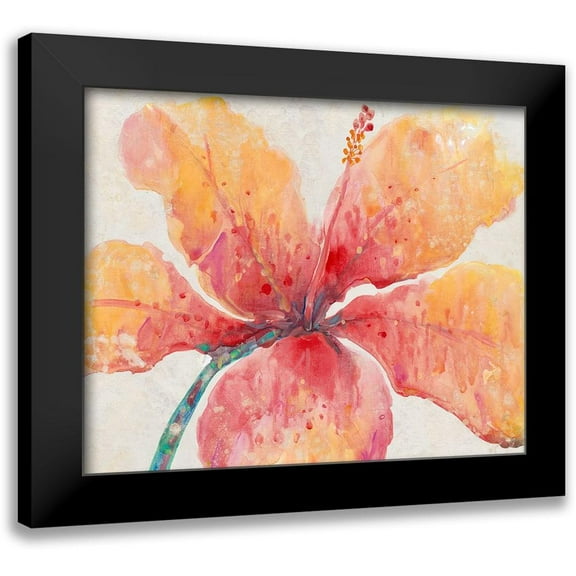 OToole, Tim 14x12 Black Modern Framed Museum Art Print Titled - Blooming Hibiscus