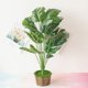 thumbnail image 1 of Mini Monstera artificial TUNC Sencillez 50 cm con maceta, 1 of 5