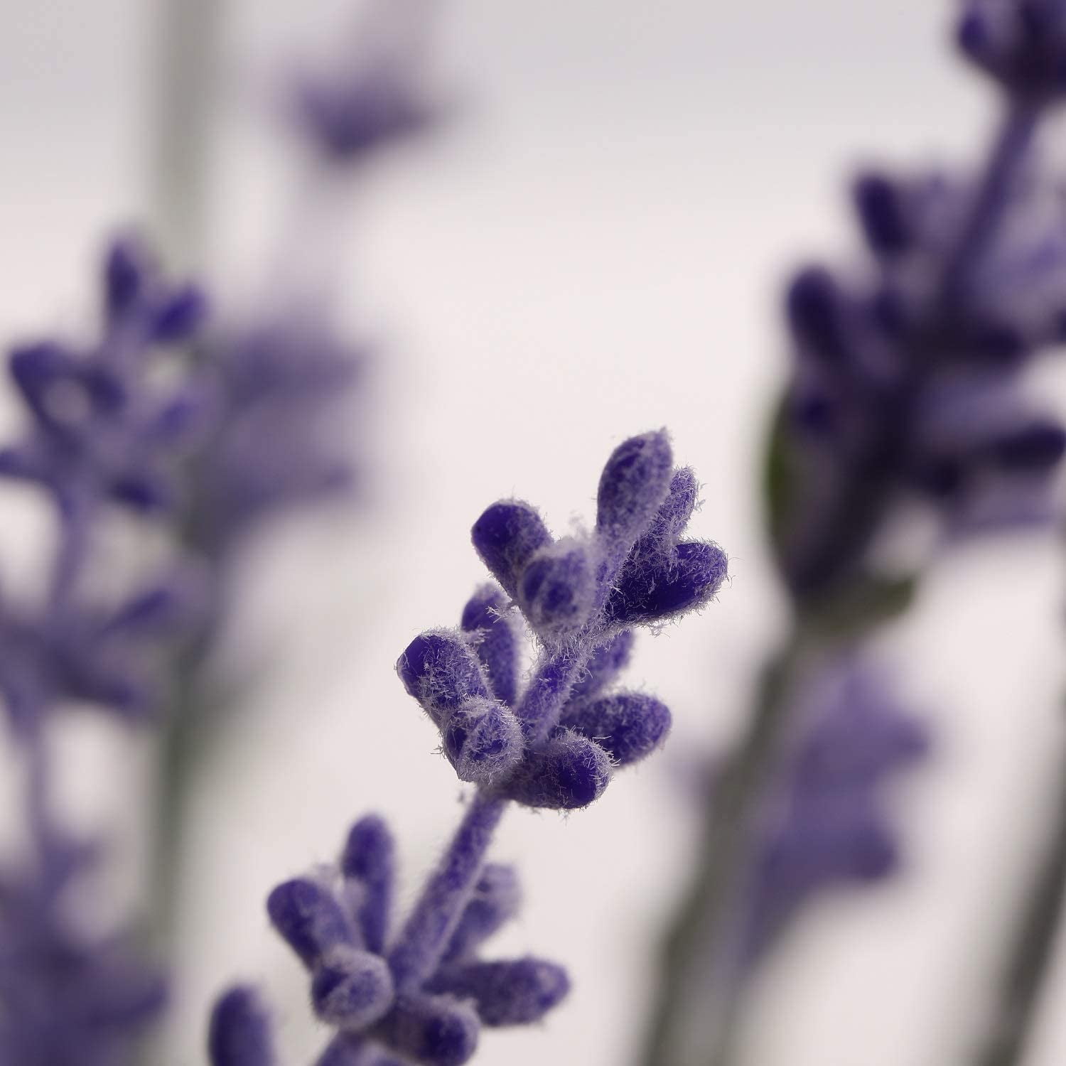Artificial Lavender Flowers with Silk Flocked Fake Lavender Plant for Wedding Home Table Centerpiece Decor-Pack of