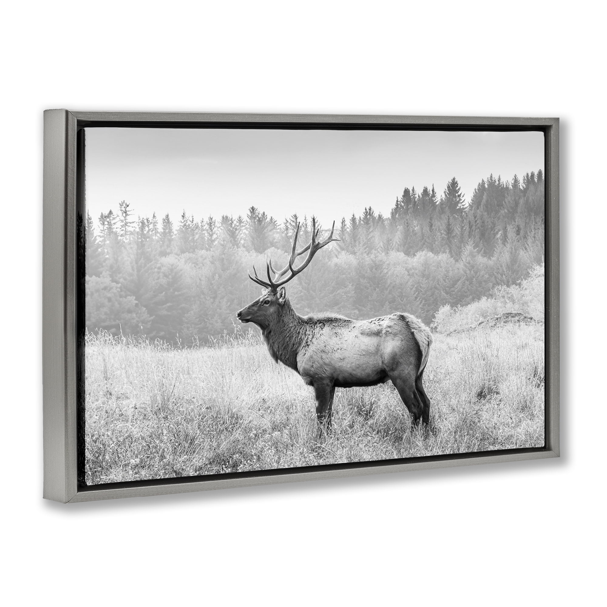 Stupell Industries Stoic American Elk Landscape & Nature Photography Gray Floater Framed Canvas Art Print Wall Art, 31 x 21