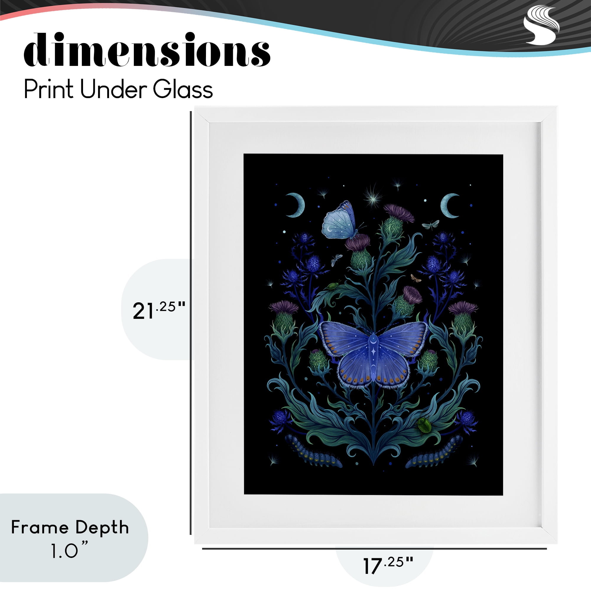 Stupell Industries Thistles & Insects at Night White Framed Print Under Glass, design by Episodic Drawings